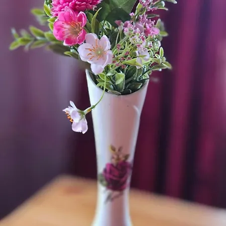 Hébergement de vacances Mesikamaee Puhkemaja *