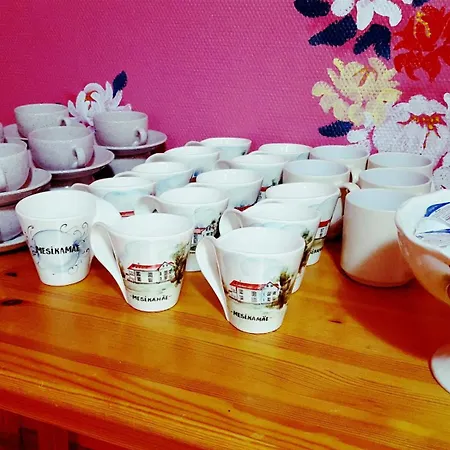 Mesikamaee Puhkemaja Hébergement de vacances