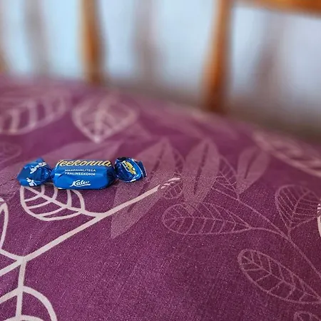 Mesikamaee Puhkemaja * Põlva