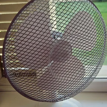 Mesikamaee Puhkemaja