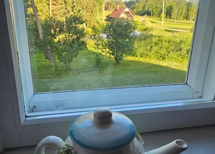 Mesikamaee Puhkemaja Dom wakacyjny *